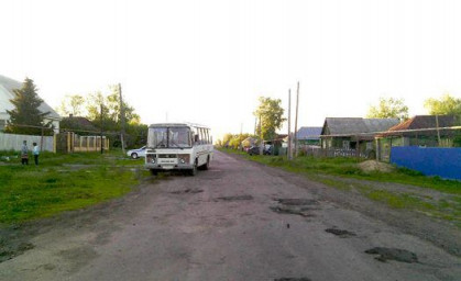 РОДНАЯ УЛИЦА