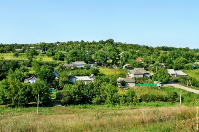 родная Паланка