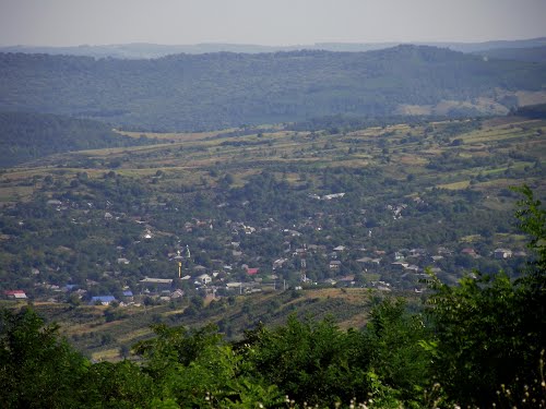 вид Паланки
